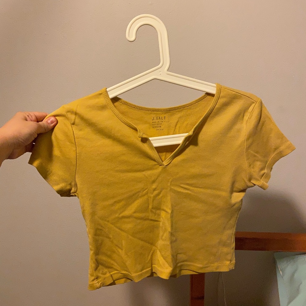 Brandy melville crop top